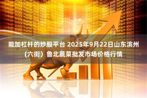能加杠杆的炒股平台 2025年9月22日山东滨州(六街）鲁北蔬菜批发市场价格行情